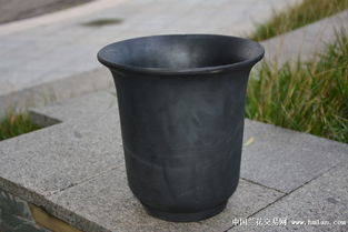 精品大号金钟盆 泥瓦盆在兰花种植中的应用与普通马桶的对比分析